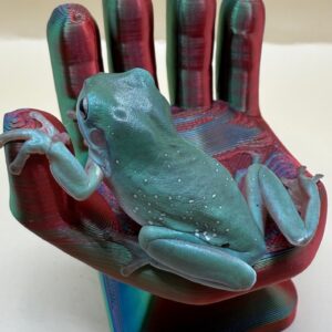 CBB Blue Phase Snowflake Whites Tree Frog for sale