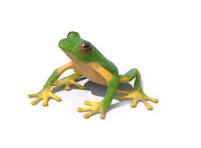 tree frogs for sale